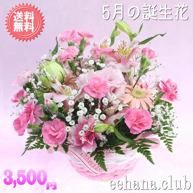 5月の誕生花 ピンクアレンジ3,500円【送料無料】