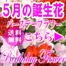 5月の誕生花特集