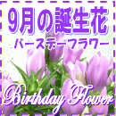 9月の誕生花【りんどう】特集