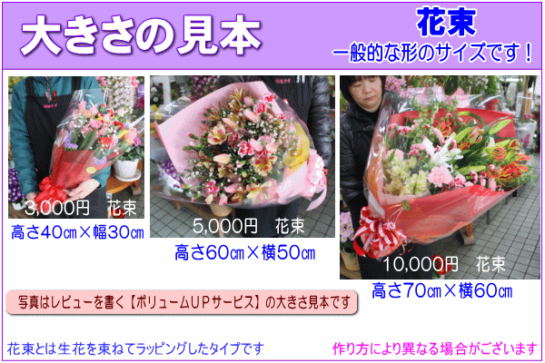 おまかせの商品画像が見れます!