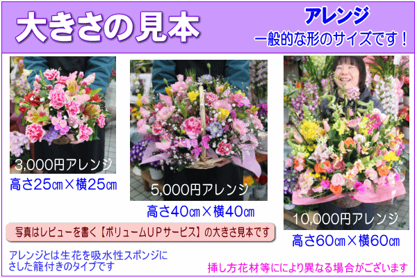 おまかせの商品画像が見れます!