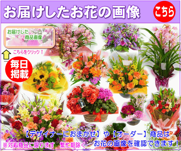 おまかせの商品画像が見れます!