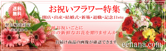 お祝い専用フラワー 結婚・開店・退職・新築・出産・記念日などに贈るお花