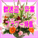歓送迎・卒業・入学フラワー特集