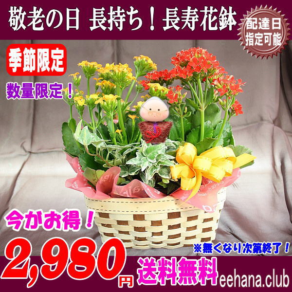 敬老の日長寿はなばち